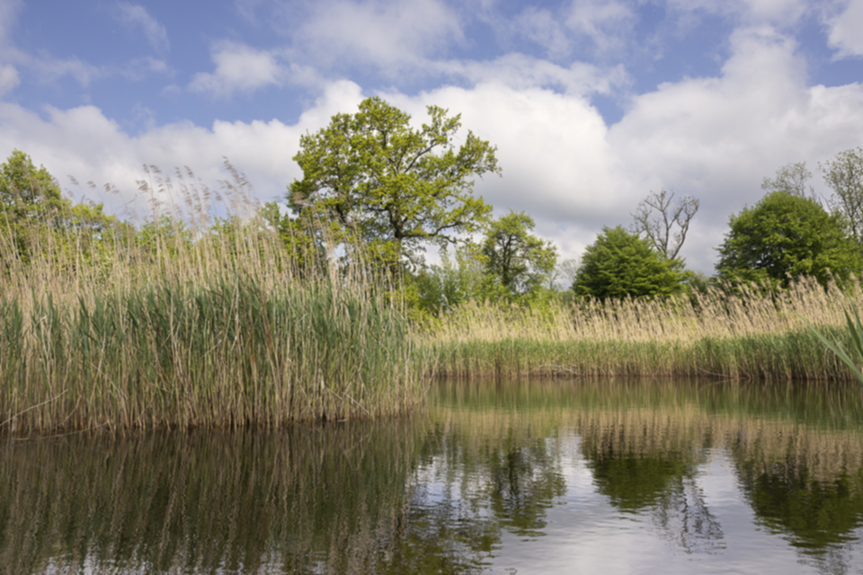 27Hölzli Weiher.jpg