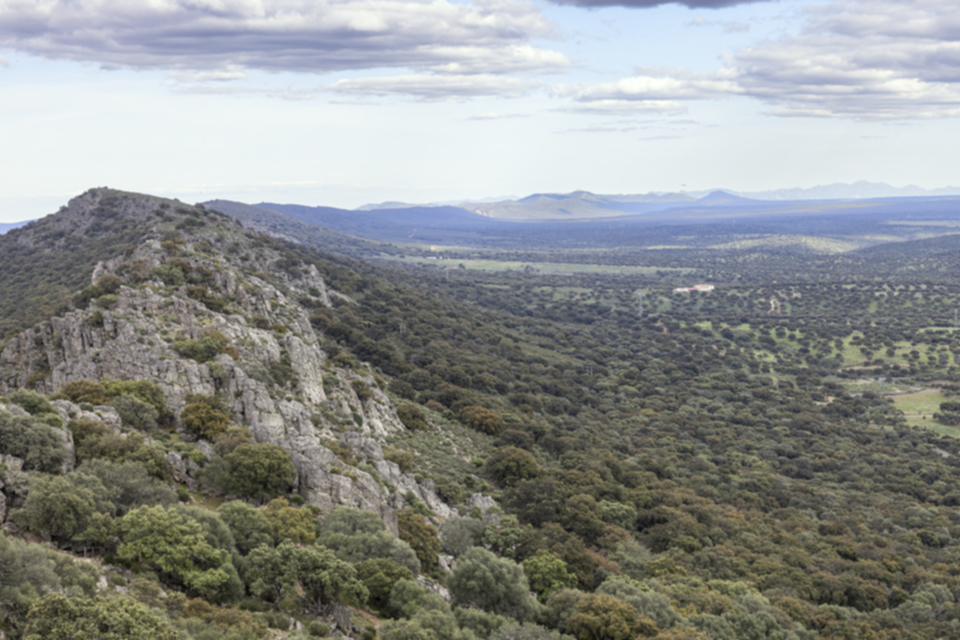 52Sierra de San Pedro.jpg