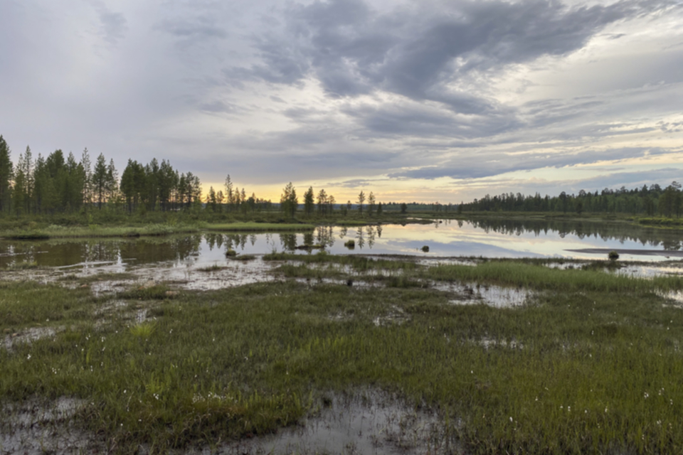 01Moor in Lappland_w9l9isvodh59.jpg