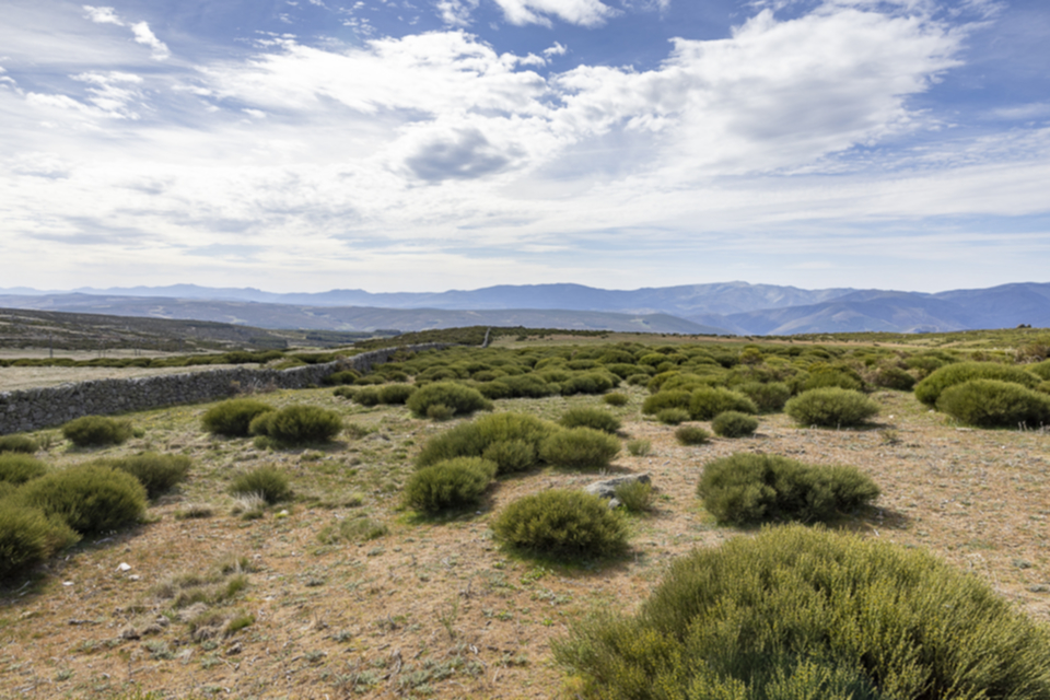 35Sierra de Gredos.jpg