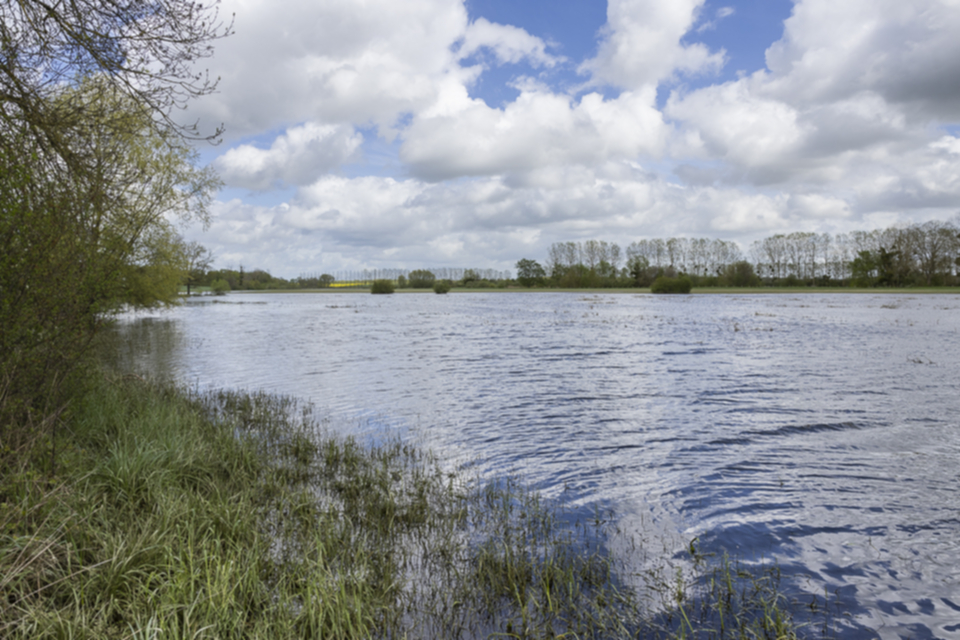 05Etang_de_Landres.jpg 05Etang_de_Landres.jpg