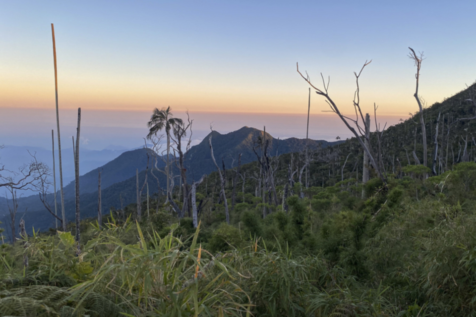 Sierra de Santa Marta / San Lorenzo-Kamm Sierra de Santa Marta / San Lorenzo-Kamm