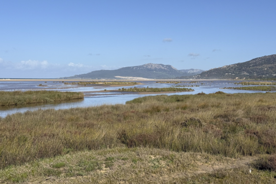 17Playa de los Lances_w4re3r1k589z.jpg