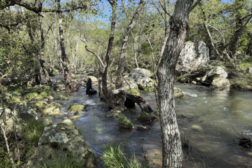 38Valle del Ojen.jpg