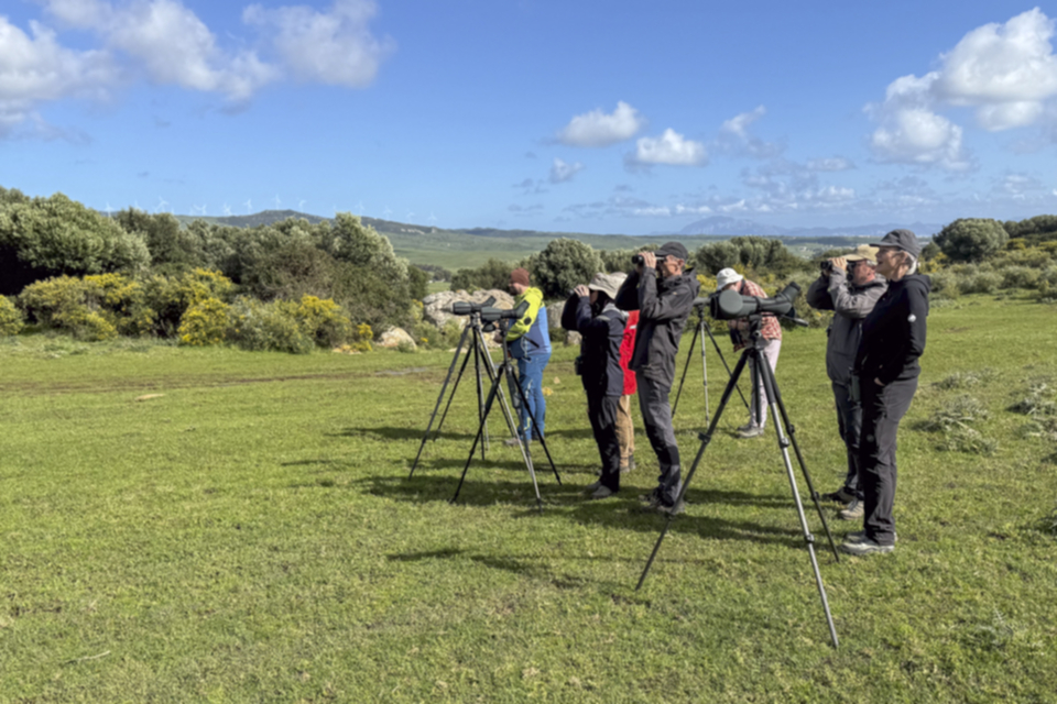 35Birder_1lxkk88egl7sk.jpg
