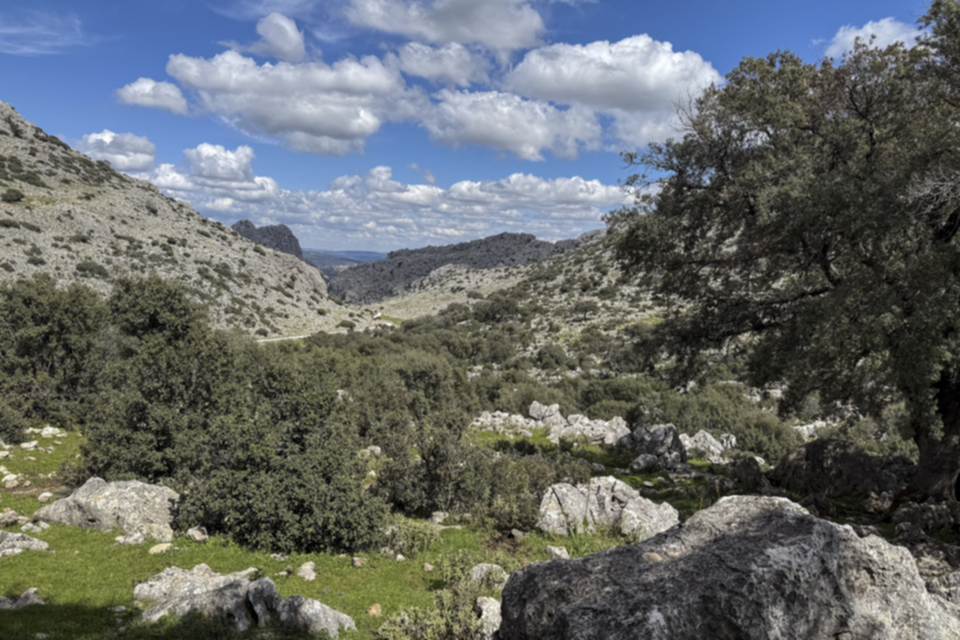 42Sierra de Juan Diego.jpg