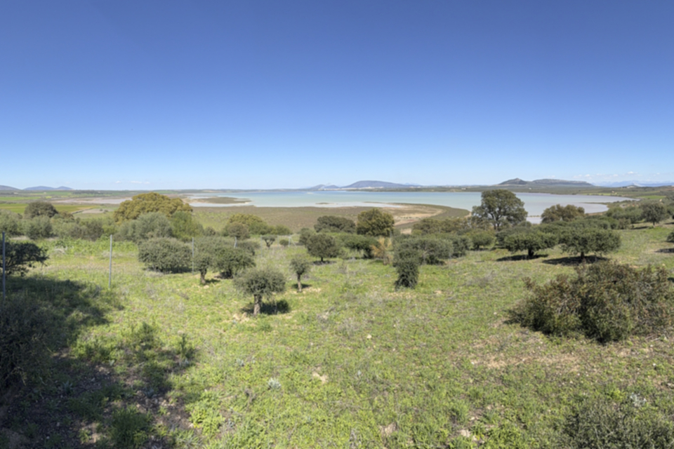 50Laguna de Fuente de Piedra.jpg