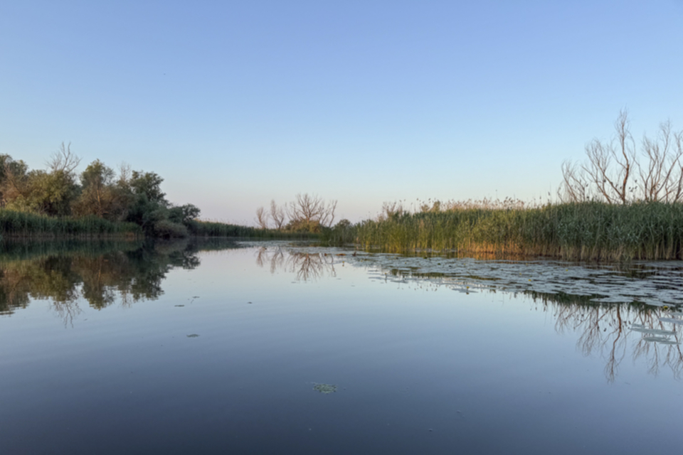 35Donaudelta.jpg 35Donaudelta.jpg