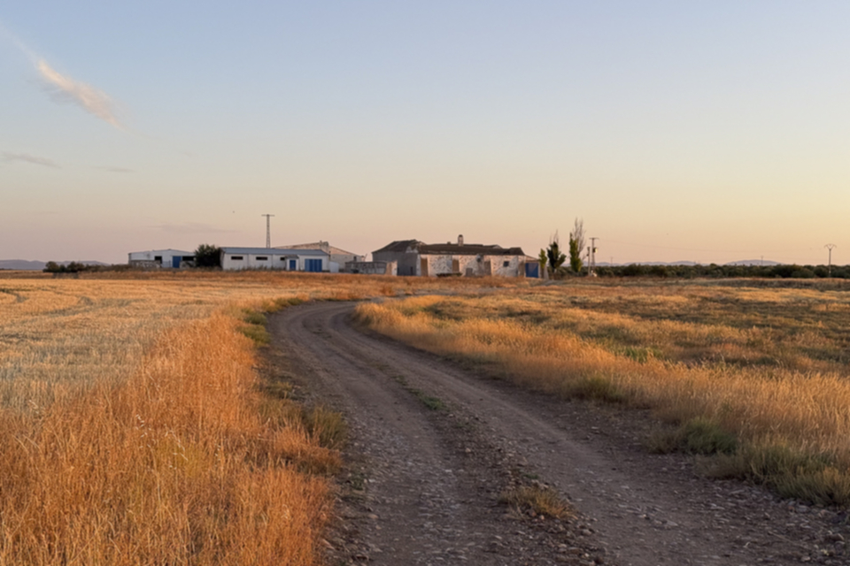 01Cortijo del Taray.jpg
