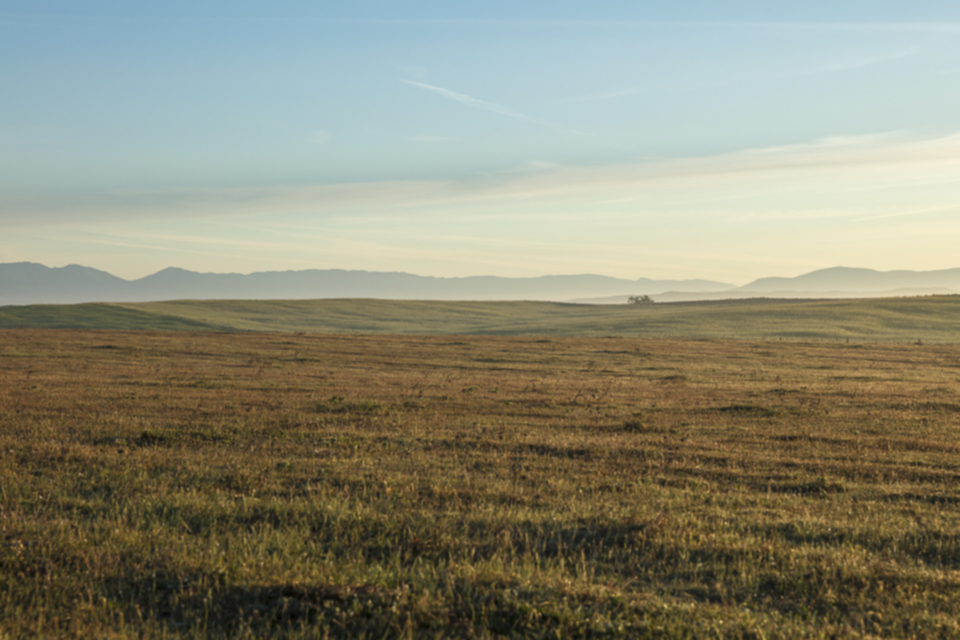 01Steppe am Fusse der Sierra de Gredos.jpg 01Steppe am Fusse der Sierra de Gredos.jpg