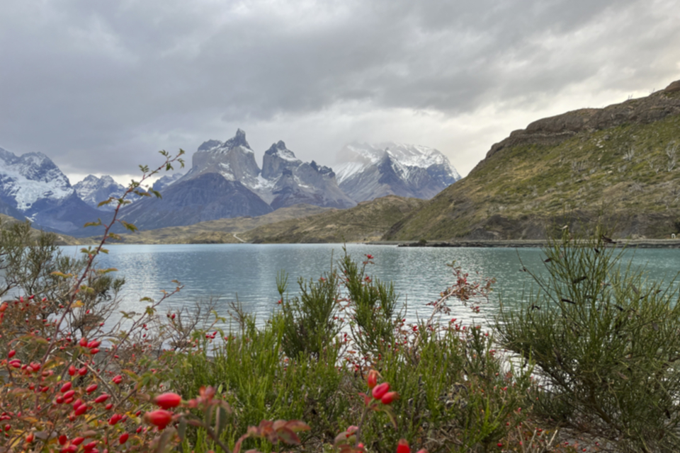 Chile-6.jpg Chile-6.jpg