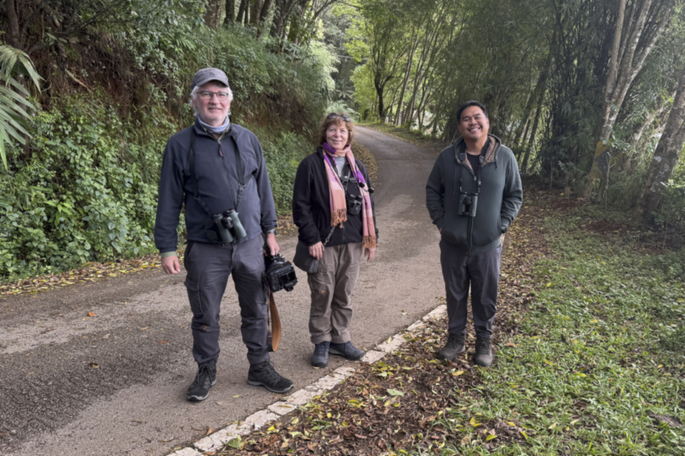 31Thomas, Verena & Green.jpg