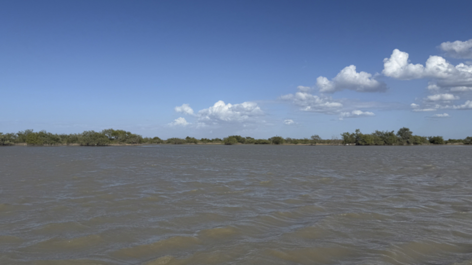 51Los Flamencos NP.jpg