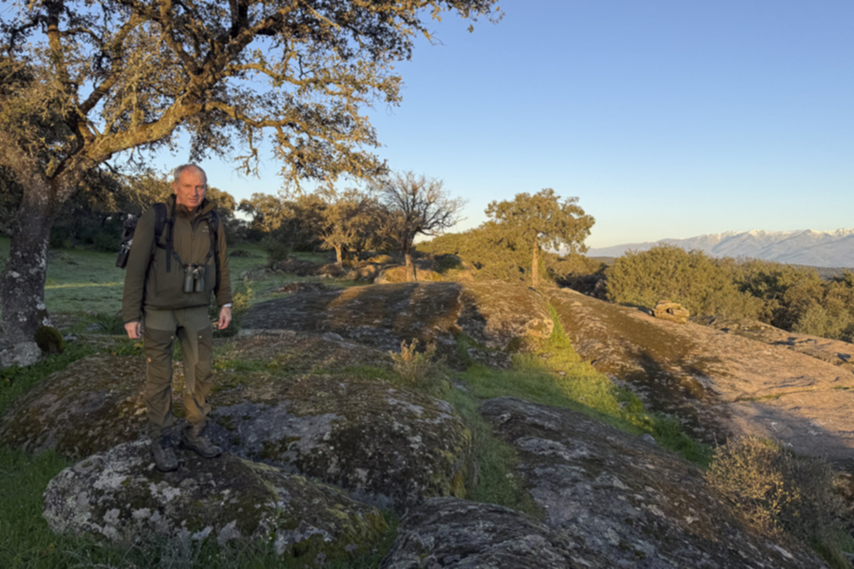 09Dehesa mit Sierra de Gredos.jpg