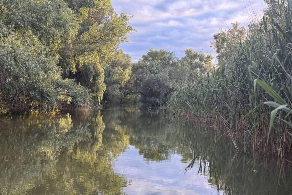 40Delta Kanal.jpg